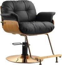 Xcellent Hair Dressing Chair Pro 1